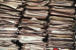 Stacks Image 5103